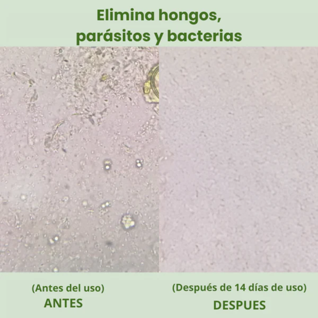 Alimora OregaMix: Aceite de orégano medicinal